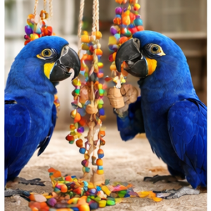 hyacinth macaw for sale